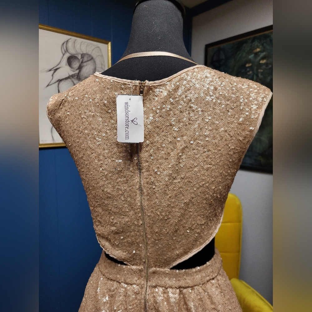 Windsor Sequined Dress With Side Cutouts Size M - Picture 7 of 10